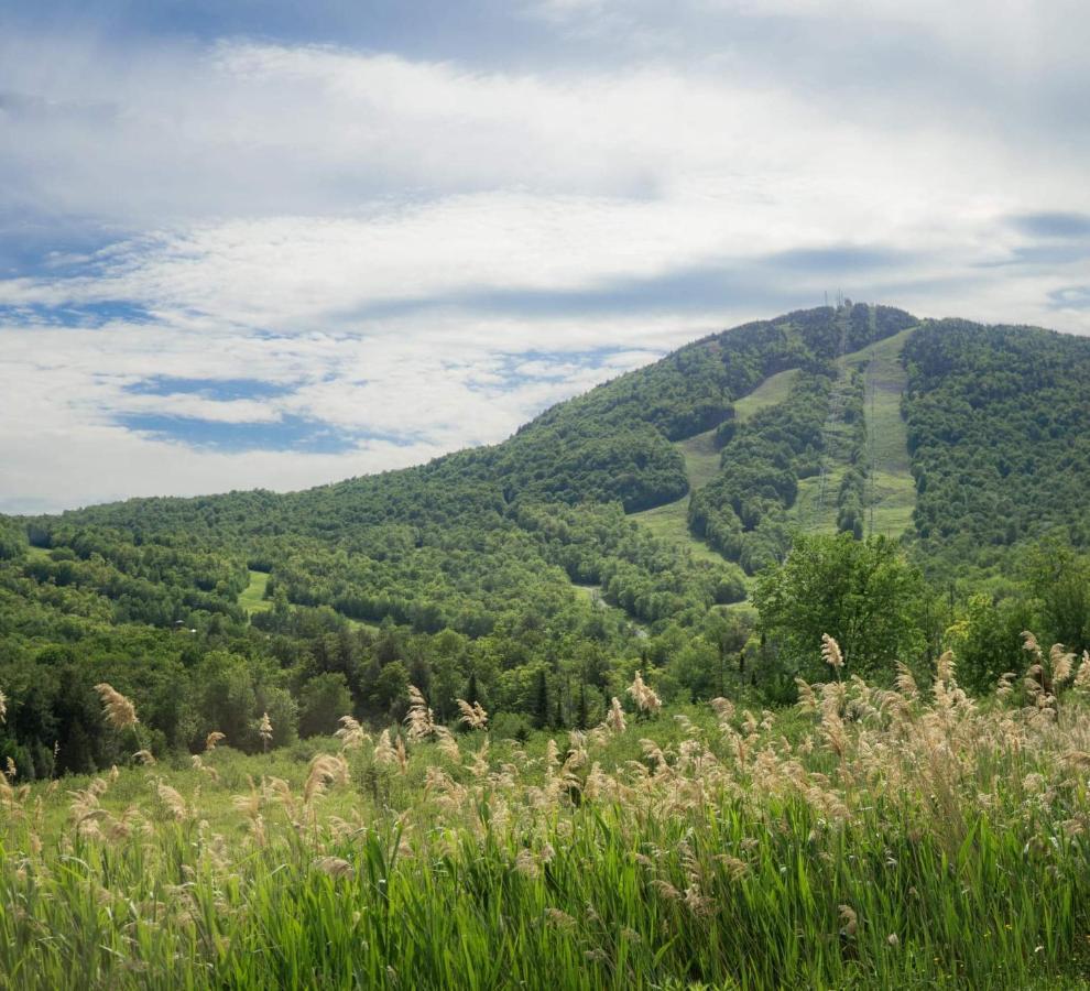 Superbe Condo A 5 Minutes Du Mont Orford Bagian luar foto